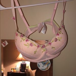 Delicates lingerie rose bra & panty set